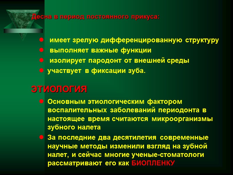 Десна в период постоянного прикуса:  имеет зрелую дифференцированную структуру  выполняет важные функции